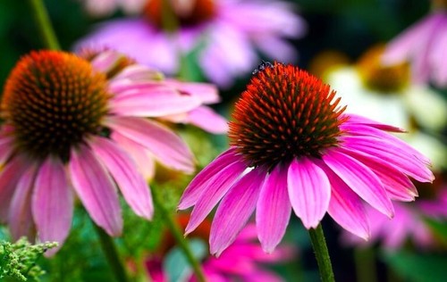 Breathtaking art nature - of,