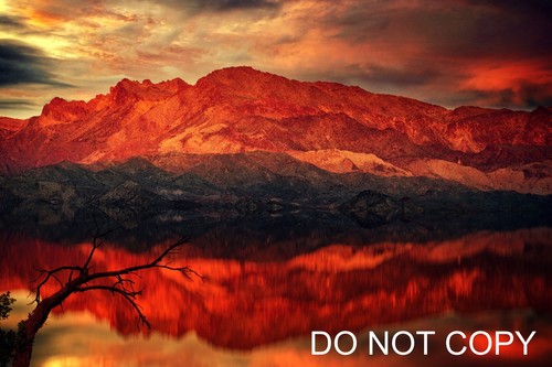 Digital picture image - picture,