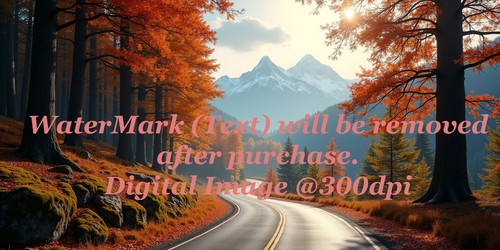 Digital image picture - picture, photo