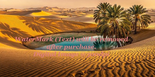 Digital image picture - digital,