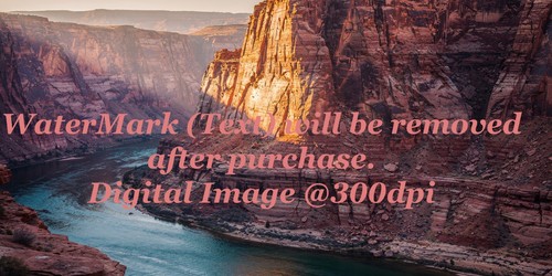 Digital image picture - image,