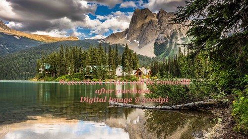 Digital image picture - image,