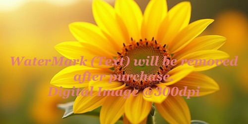 Digital image picture photo - picture,